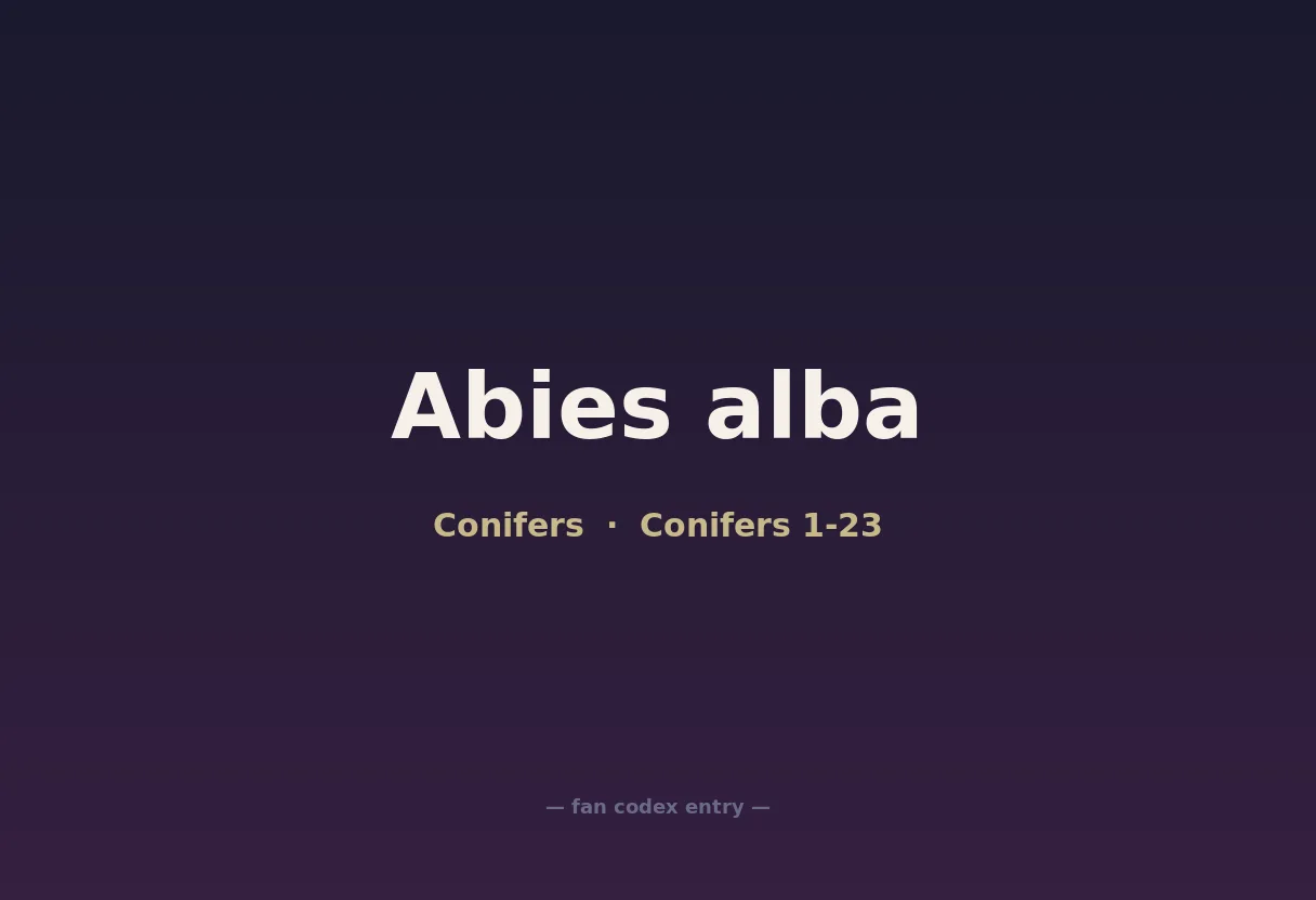 Abies alba