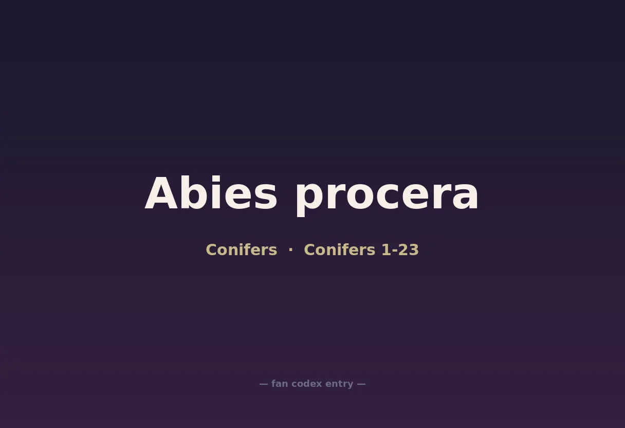 Abies procera