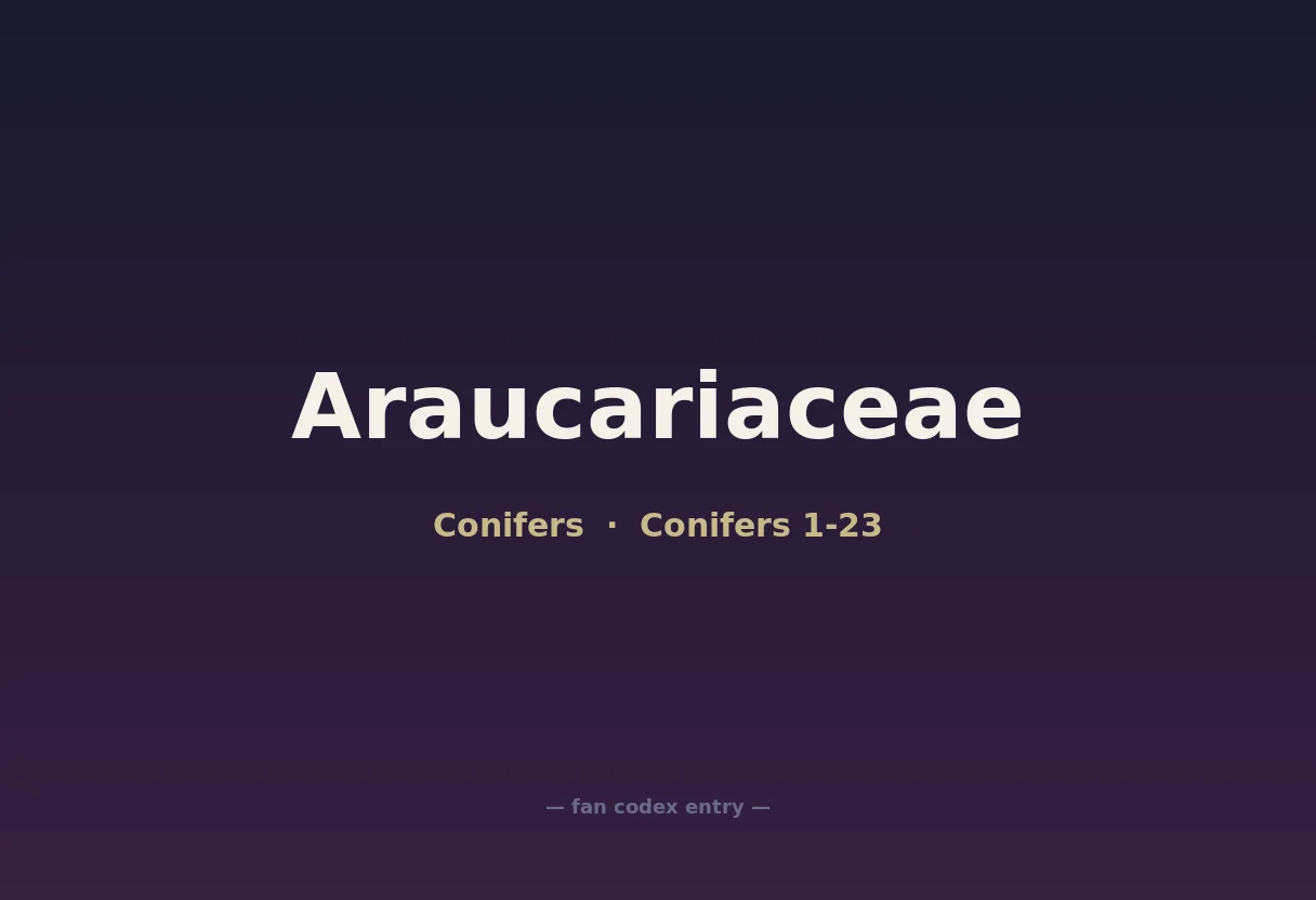 Araucariaceae
