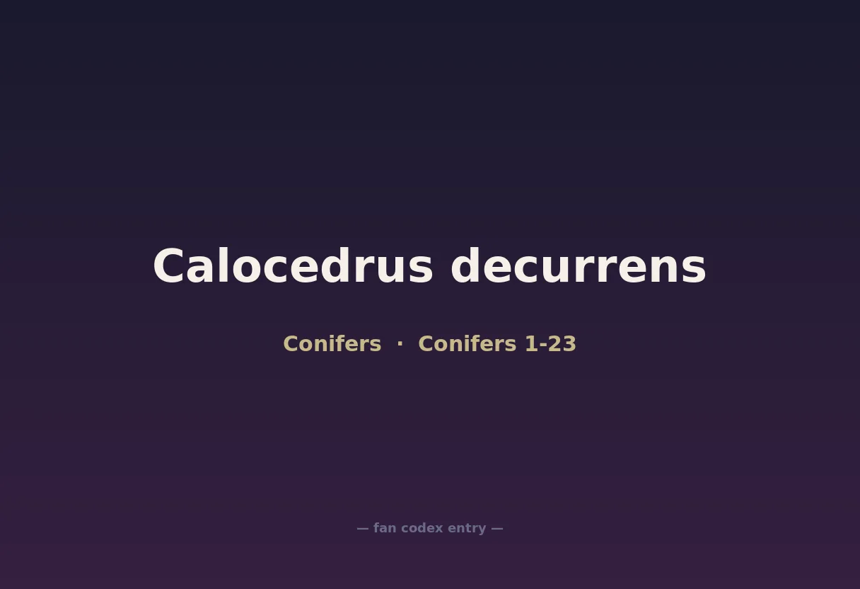 Calocedrus decurrens