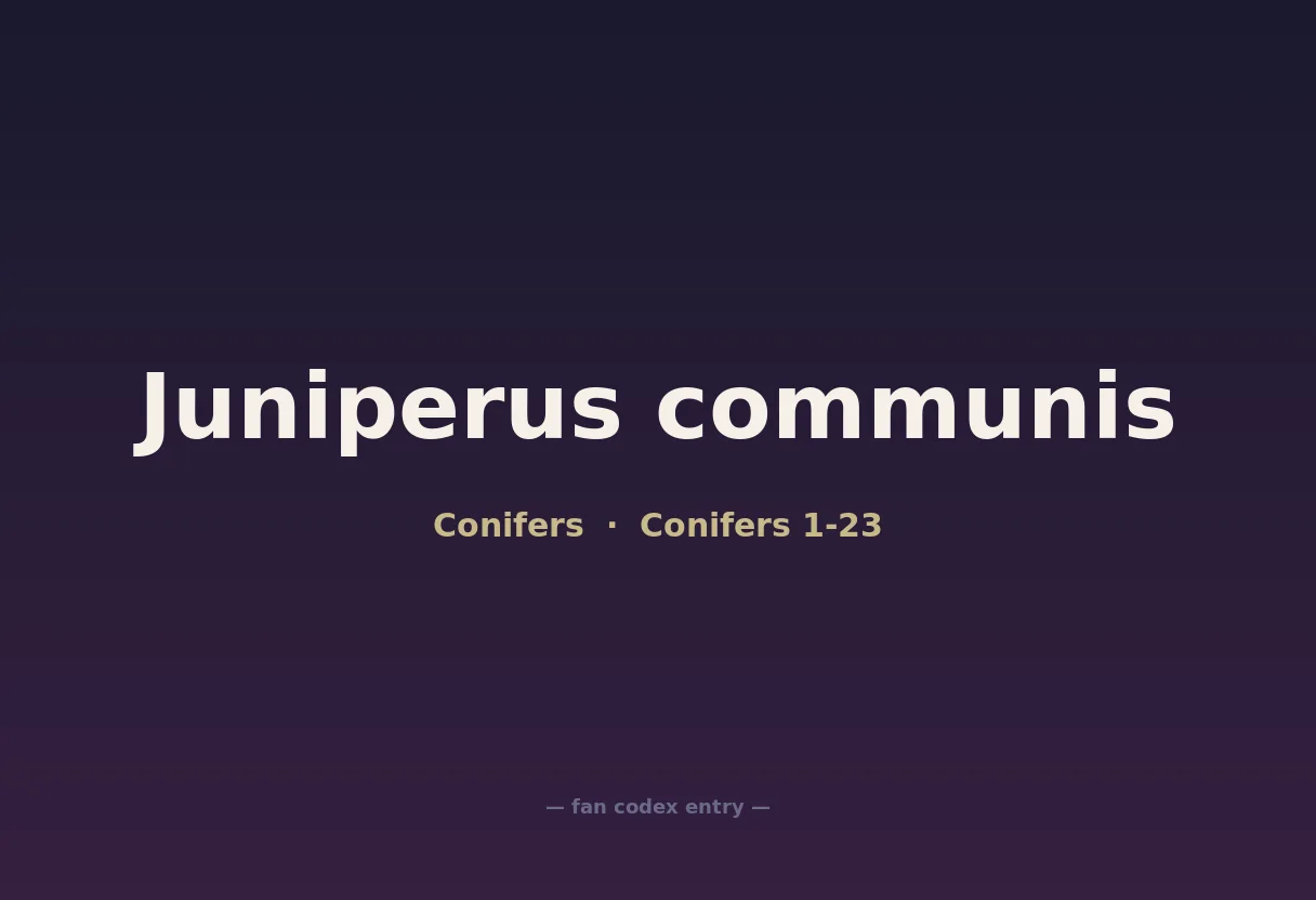 Juniperus communis
