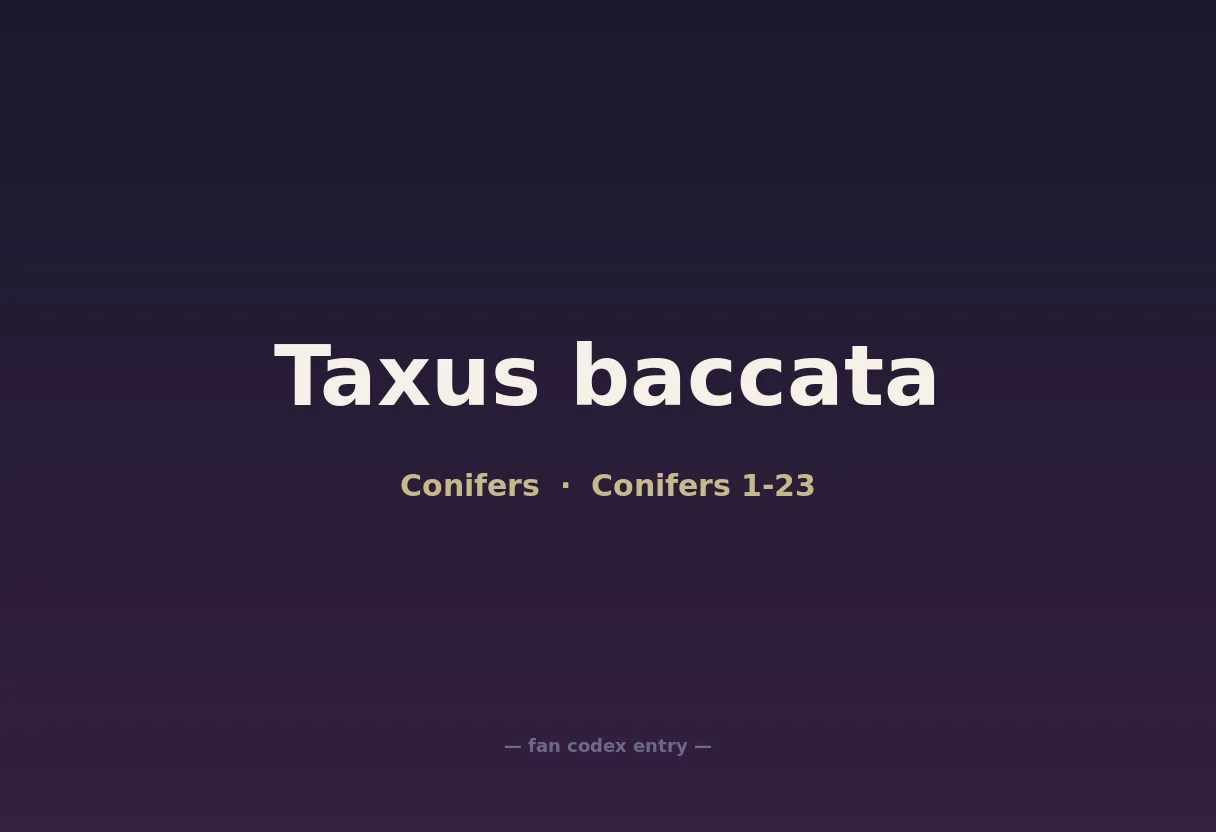 Taxus baccata