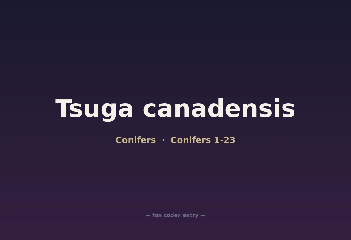 Tsuga canadensis